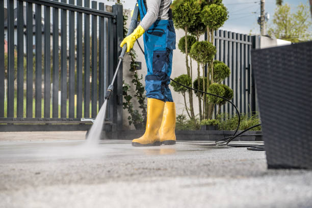 Best Driveway Pressure Washing  in Candlewick Lake, IL